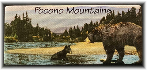 Pocono Mountains Magnet