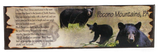 Pocono Moutnains Black Bear Souvenir Magnet