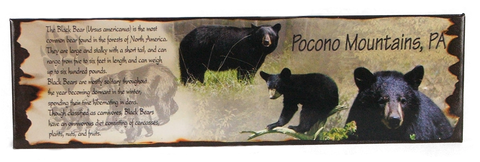 Pocono Moutnains Black Bear Souvenir Magnet