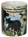 Pocono Mountains Coffee Mug