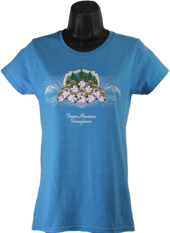 Pocono Mountains Ladies T-shirt