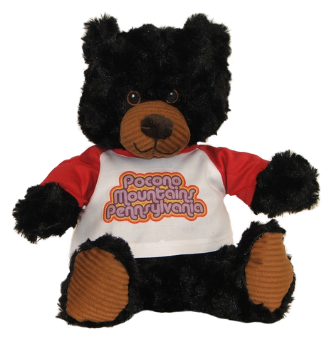 Pocono Mountains Souvenir Stuffed Black Bear
