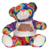 Pocono Mountains Souvenir Stuffed Tiedye Bear