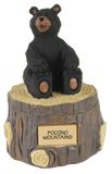 Pocono Mountain Bear Treasure Box