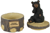 Pocono Mountain Bear Treasure Box