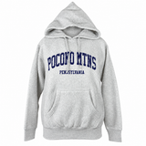 Pocono Mountains Crossgrain Heavyweight Hoodie in Ash