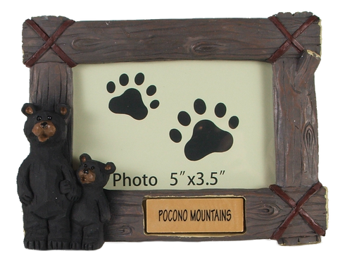 Pocono Mountains 2 Bear Picture frame