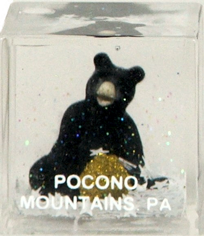 Snow globe acrylic cube Pocono Mtn. Bear