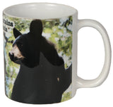 Pocono Mountains Coffee Mug