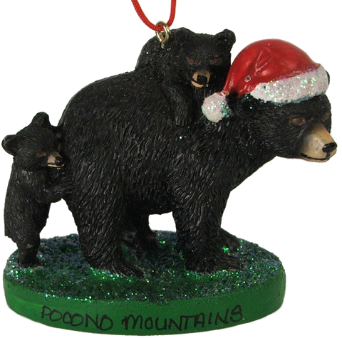 Pocono Souvenir Bear Ornament