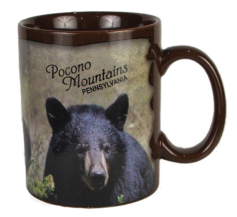 Pocono Mountain Souvenir