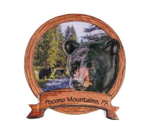 Pocono Mountain Souvenir Bear Magnet