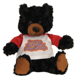 Pocono Mountains Souvenir Stuffed Black Bear